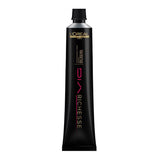 Tinte En Crema Dia Richesse De 50 Ml Loreal Dia Richesse Negro Azulado 2.10 50 Gr